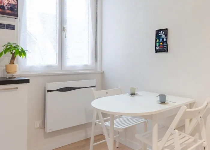 公寓 Travel Homes - Grand Rue, Petite Venise - Compact & Cosy - Lit Mural 科尔马